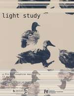 Light Study Poster